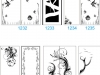 167