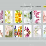 katalog_senator_25 katalog_senator_25
