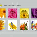 katalog_senator_34 katalog_senator_34
