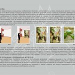 katalog_senator_obl_03 katalog_senator_obl_03